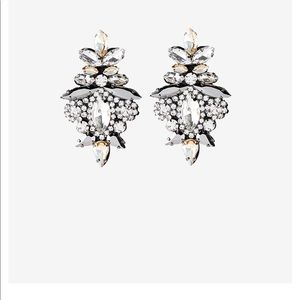 Ornate Stone Earrings